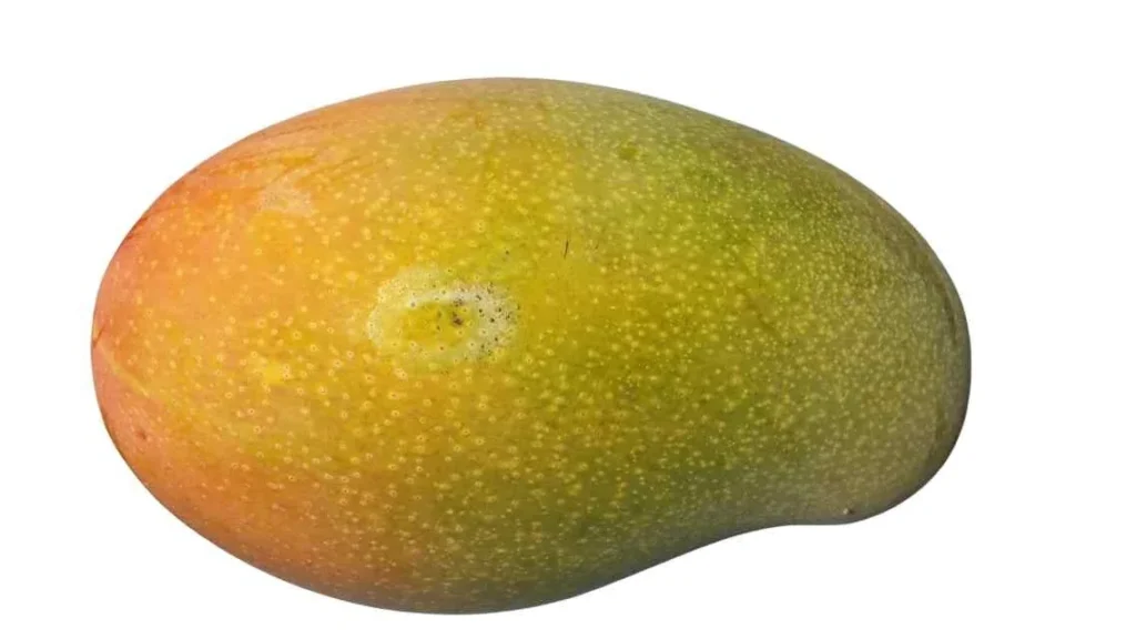 What is mango?