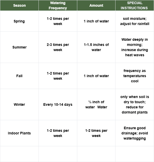 Caring for Your Oregano Plant