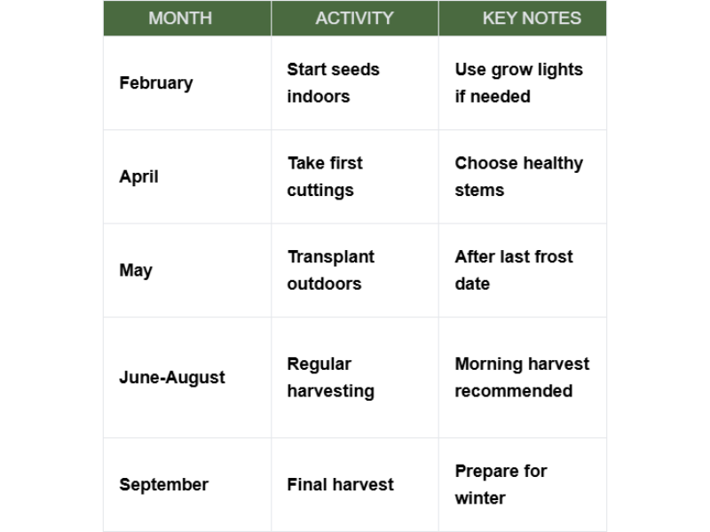 Propagation Timeline