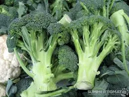 Broccoli