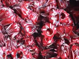 Hibiscus Sabdariffa