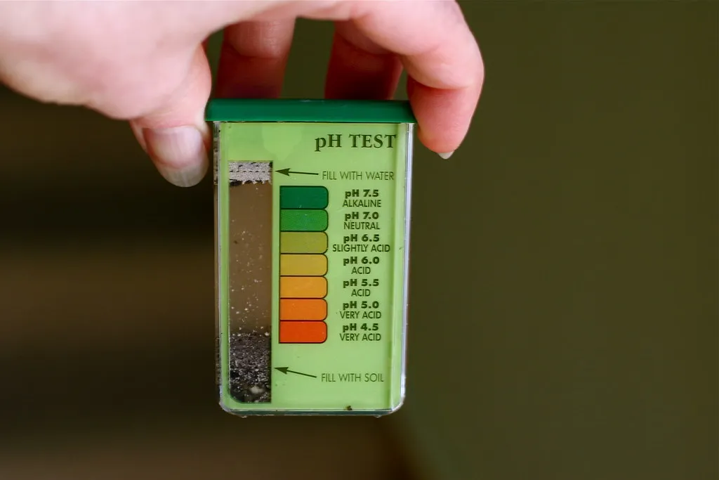 Using a Soil pH Testing Kit: