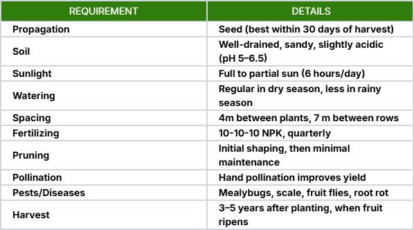 Soursop Growing Requirements