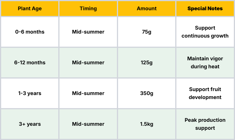 Summer Application (Sustaining Growth)