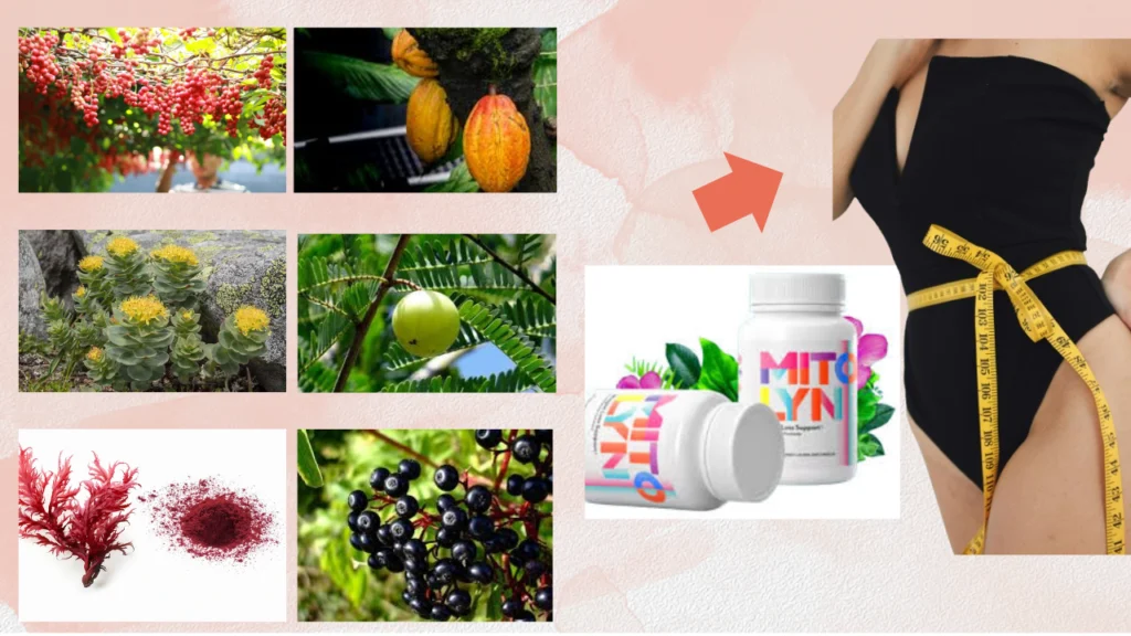 How To Lose Weight Naturally